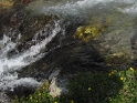eau-de près
